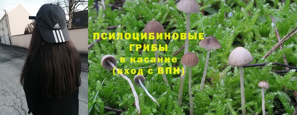 мдпв Осташков